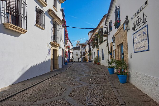 2 Days Cordoba with Mosque Ticket and Hotel Tour - Patios and People: How Córdoba’s Courtyards Set the Tone
