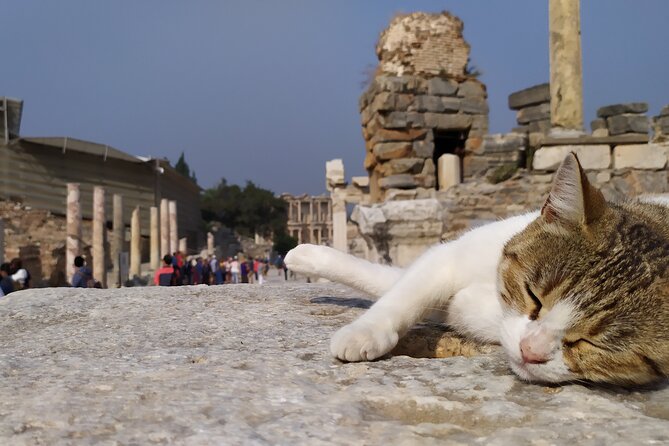 Best of Ephesus Tour From Kusadasi: Temple of Artemis, St John Basilica, Isa Bey Mosque - St John Basilica: worth confirming before the day gets moving