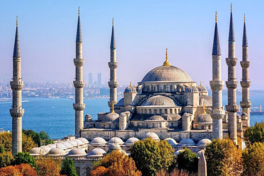 Blue Mosque, Topkapı Palace and Harem Guided Tour - Why This Blue Mosque and Topkapi Pair Works in 4 Hours