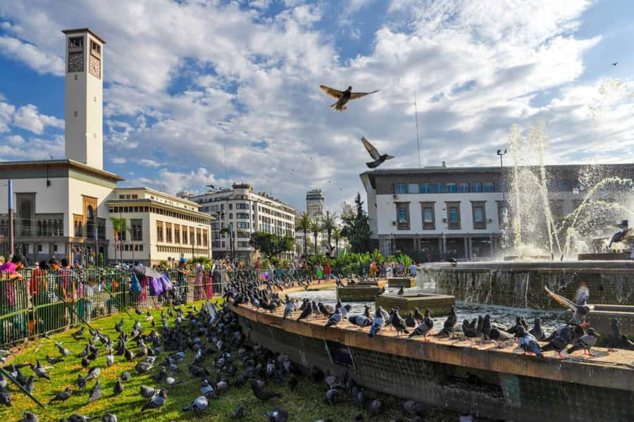 Casablanca: City Tour with Hassan II Mosque Entry Ticket - Central Market and shopping time: where you can actually spend money
