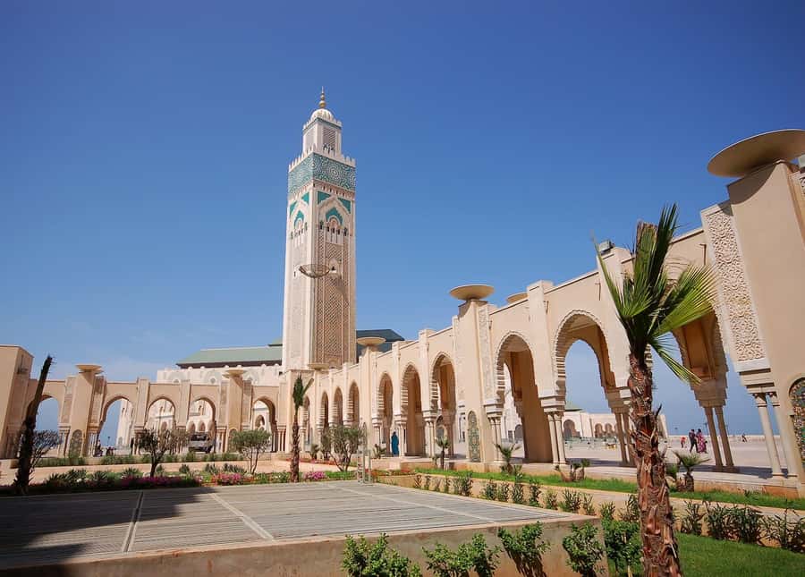 Casablanca Day Tour from Marrakech and Big Mosque Visit - Key highlights to know before you go