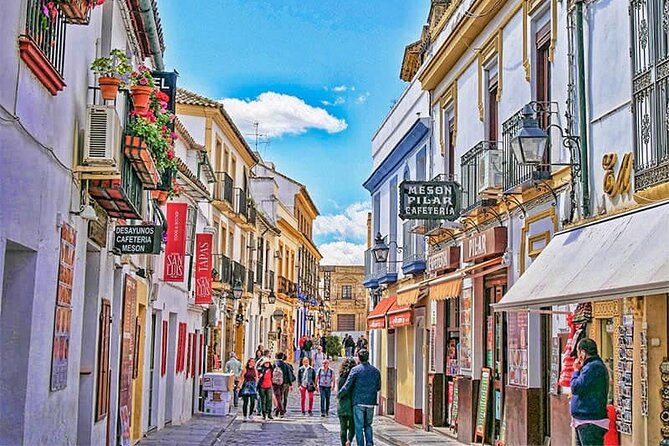 Cordoba and its Mosque from Granada with Semiprivate Transfer - Pacing, Weather, and What Can Change Your Day
