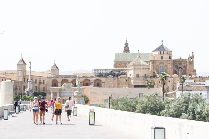 Cordoba Full Day Trip with Mosque Entrance from Malaga - Free time in the city center: lunch choices and how to use it well