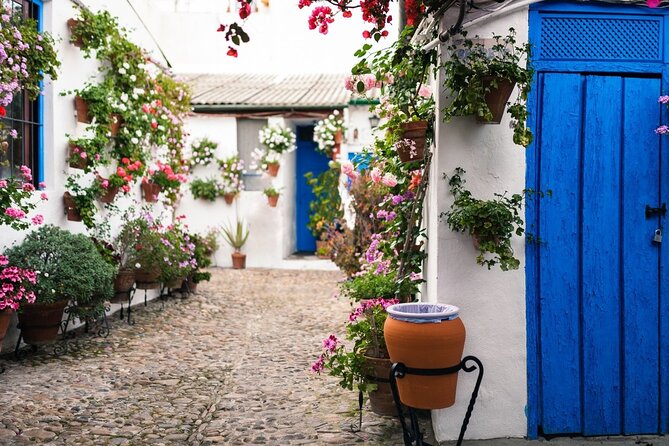 Cordoba Full Day Trip with Mosque Entrance from Malaga - Courtyards and patios with a guide: a calmer Córdoba moment