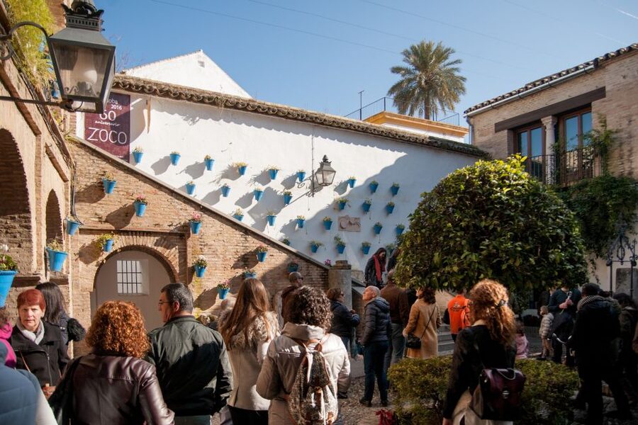 Cordoba: Jewish Quarter and Mosque-Cathedral Guided Tour - Entering the Mosque-Cathedral: the column labyrinth you can’t skim