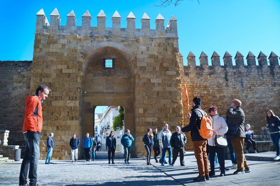Córdoba: Jewish Quarter, Mosque, and Alcázar Tour - Guides, language, and pacing: why the guide choice affects everything