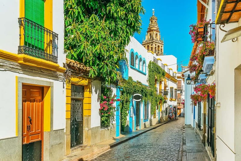 Córdoba: Jewish Quarter, Mosque, and Alcázar Tour - Price and value: what $50 is buying you in real time