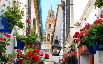 Córdoba: Mosque and Alcazar Private Tour with tickets - Puerta del Puente to the Mosque area: the walk that sets the stage