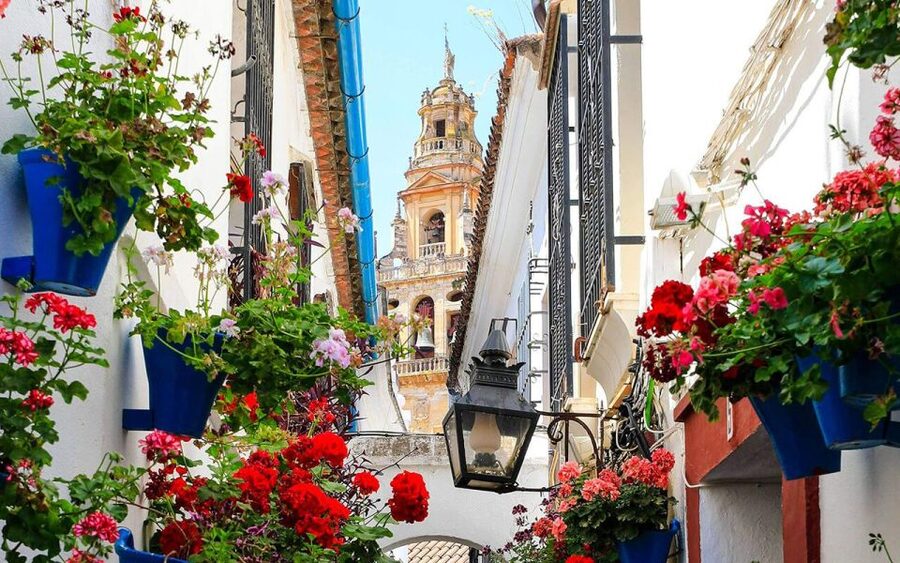 Córdoba: Mosque and Alcazar Private Tour with tickets - Puerta del Puente to the Mosque area: the walk that sets the stage