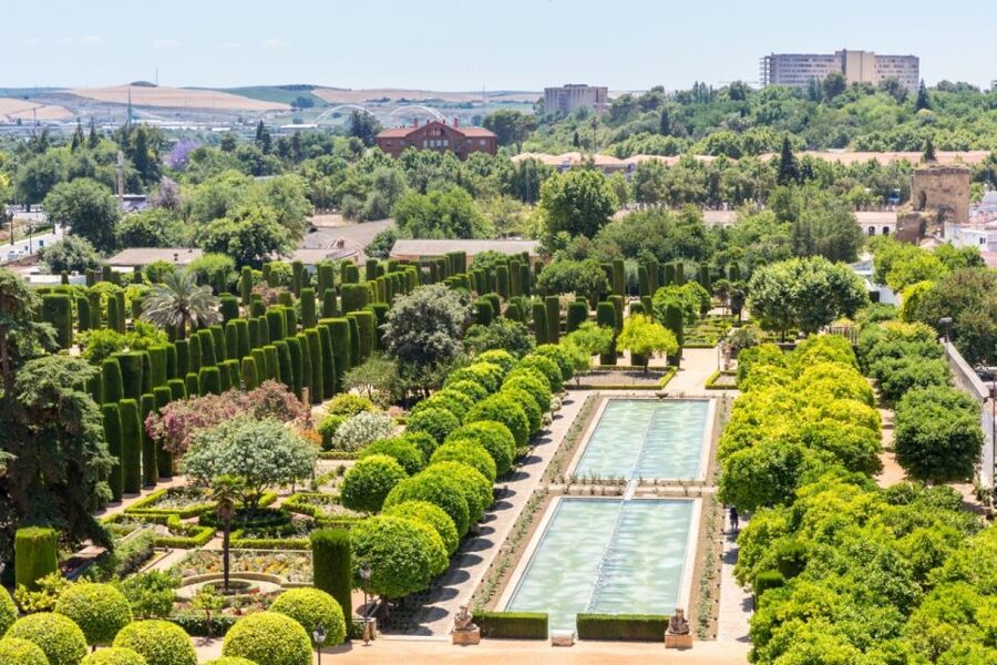 Córdoba: Mosque-Cathedral & Alcazar Guided Tour - Meeting Point, Timing, and the One Rule That Can Hurt Your Day