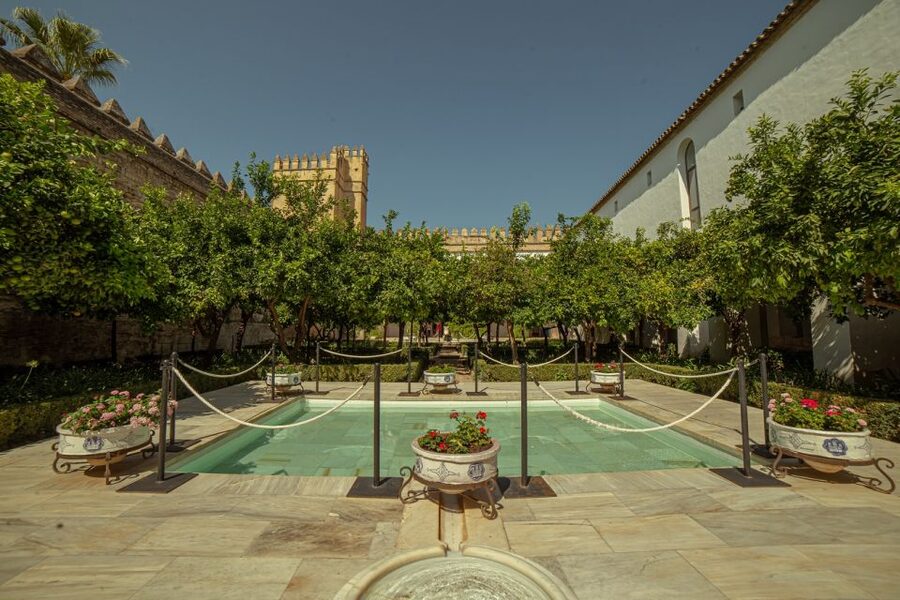Córdoba: Mosque-Cathedral and Alcazar Tour - Timing: what to expect and how the order helps