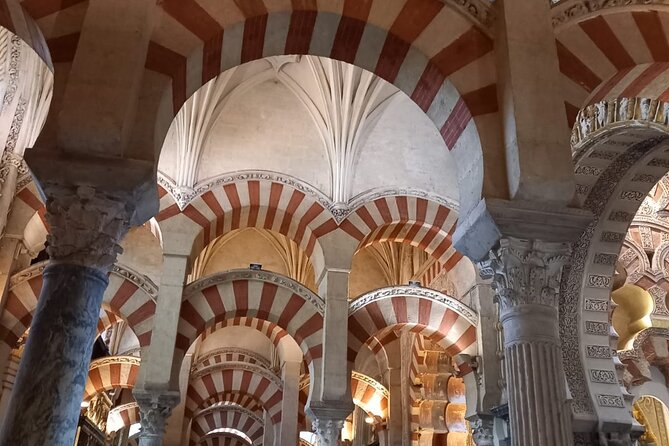 Cordoba, Mosque-Cathedral and Jewish Quarter - Patios in San Basilio: Córdoba’s homegrown beauty