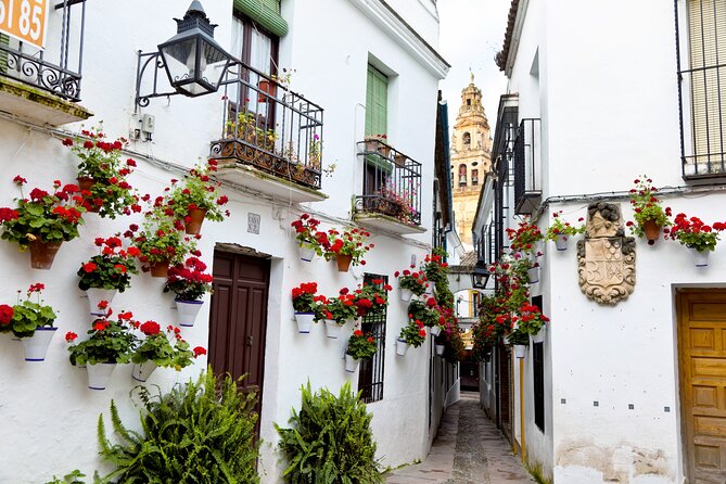 Cordoba Mosque-Cathedral & City Private Tour - Timing for the synagogue: plan your day around openings