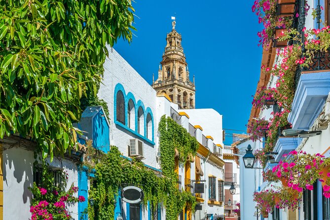 Cordoba Mosque-Cathedral & City Private Tour - How to use your free afternoon in Cordoba