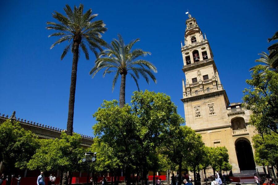 Córdoba: Mosque-Cathedral, Jewish Quarter and Alcázar Tour - What the Group Size and Pace Feel Like in Real Life