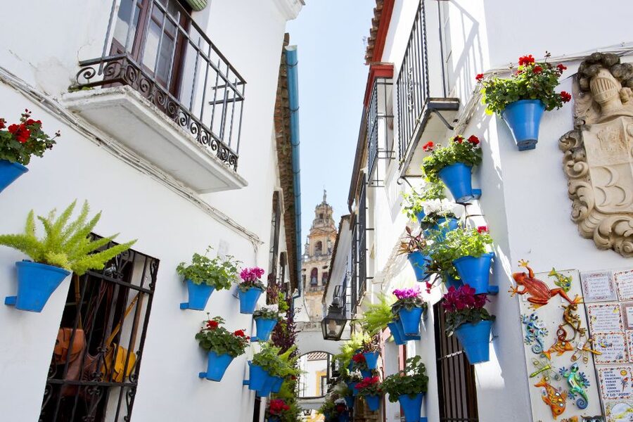 Cordoba Mosque & Jewish Quarter Tour with Tickets - Stop 1: Judería de Córdoba walk (about 1 hour)