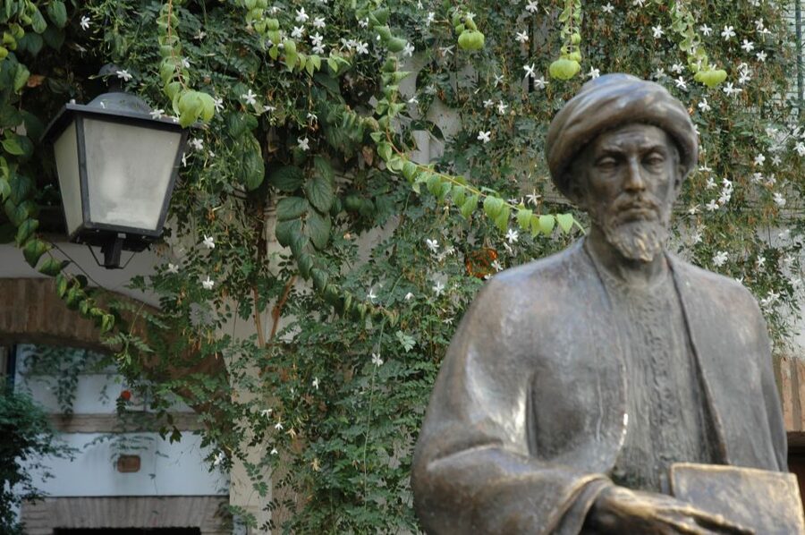 Cordoba Mosque & Jewish Quarter Tour with Tickets - Who should book this tour (and who might not love it)