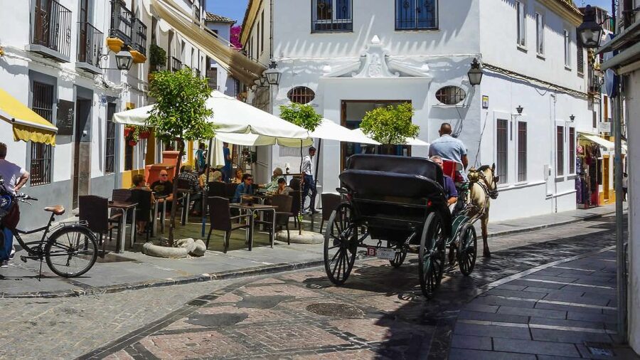 Córdoba: Mosque, Synagogue, and Jewish Quarter Walking Tour - Who Should Book This Tour (and Who Should Plan Around It)