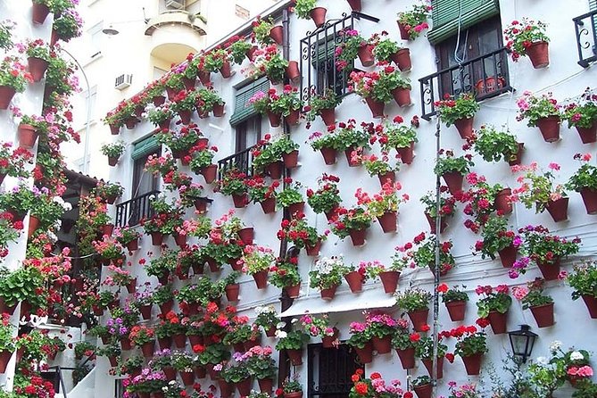 Cordoba private tour from Seville including the great Mosque for up to 8 persons - Key highlights at a glance