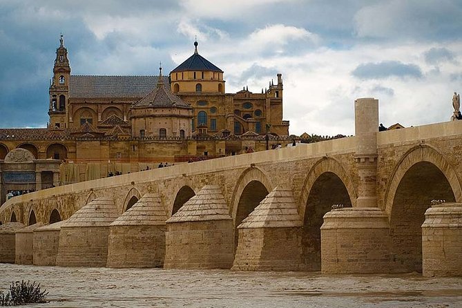 Cordoba private tour from Seville including the great Mosque for up to 8 persons - Price, group size, and whether $646.94 per person makes sense