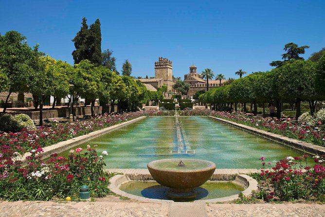 Cordoba private tour from Seville including the great Mosque for up to 8 persons - Free time in Córdoba: lunch on your terms