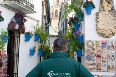 Cordoba Private Tour with Mosque Entrance from Seville - La Judería: Narrow Streets, Jewish Quarter Context, and Maimonides