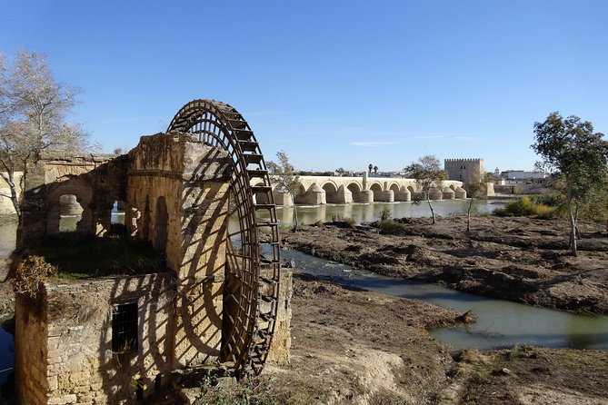 Cordoba Private Tour with Mosque Entrance from Seville - Price and Value: Is $377.74 Fair for What You Get?