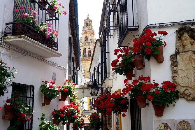 Cordoba & & The Mosque Small-Group Day Tour from Seville - Royal Stables, Alcázar, and Other Quick Stops That Keep the Story Moving