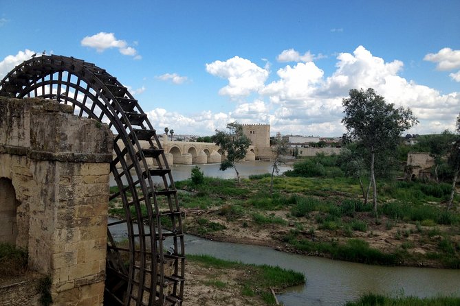 Cordoba & & The Mosque Small-Group Day Tour from Seville - What About Food and Where Lunch Fits?