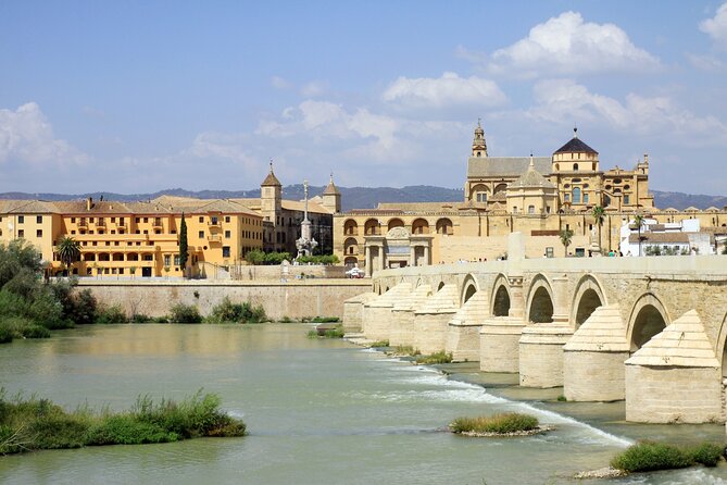 Cordoba Tour with Mosque, Synagogue and Patios from Malaga - Value and Timing: Is $73 a Smart Deal?