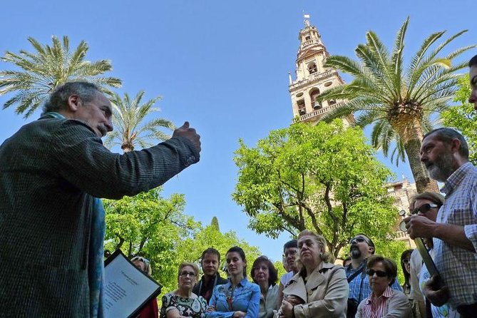 Cordoba with Mosque-Cathedral Private Tour from Granada - Granada to Cordoba by Private Car: The Pace of an 11-Hour Day