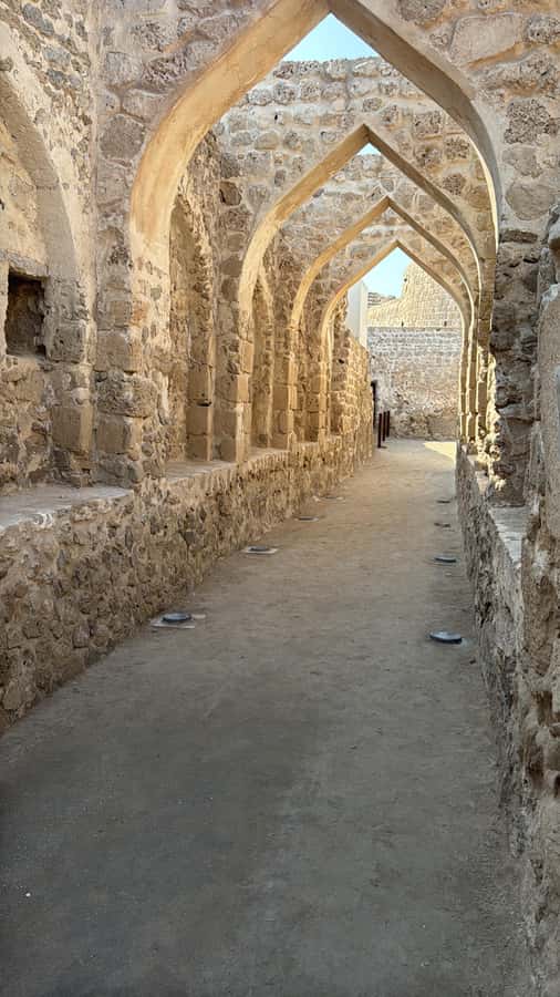 Discover Bahrain: Private Guided City Tour with Lunch - Bahrain’s Museum Plan: National Museum vs. Fort Site Museum on Tuesdays