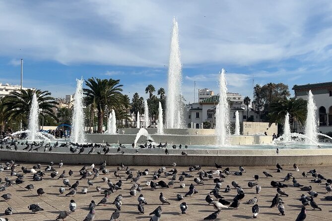 Discover Casablanca: Mosque & City Tour - Hassan II Mosque: The Main Event That Costs Extra