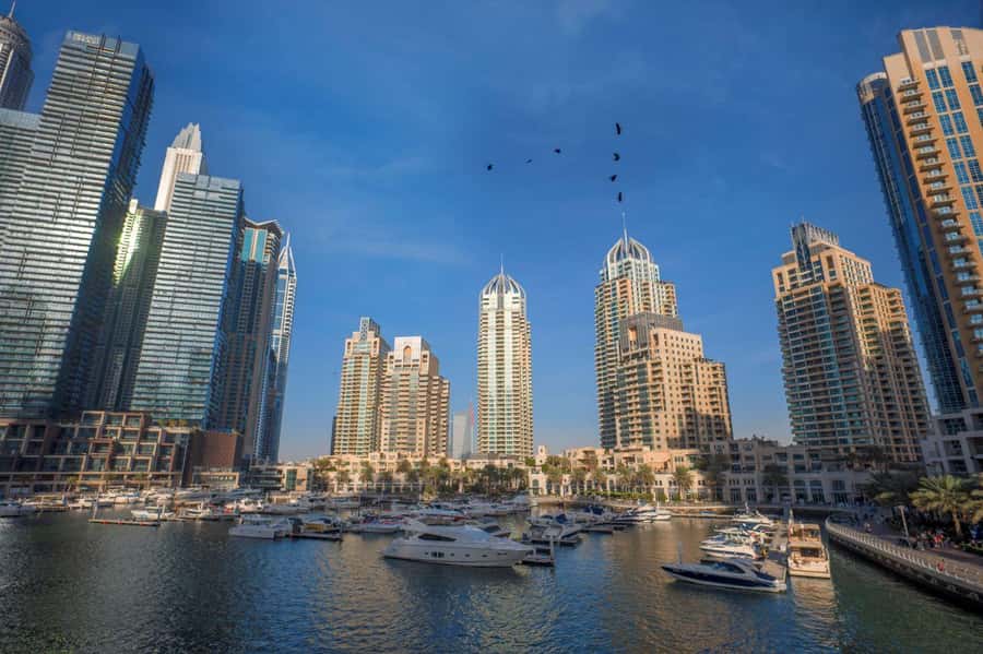 Dubai Full-Day Tour: Mosque, Souks, Burj Khalifa photo stop - Key things to know before you go