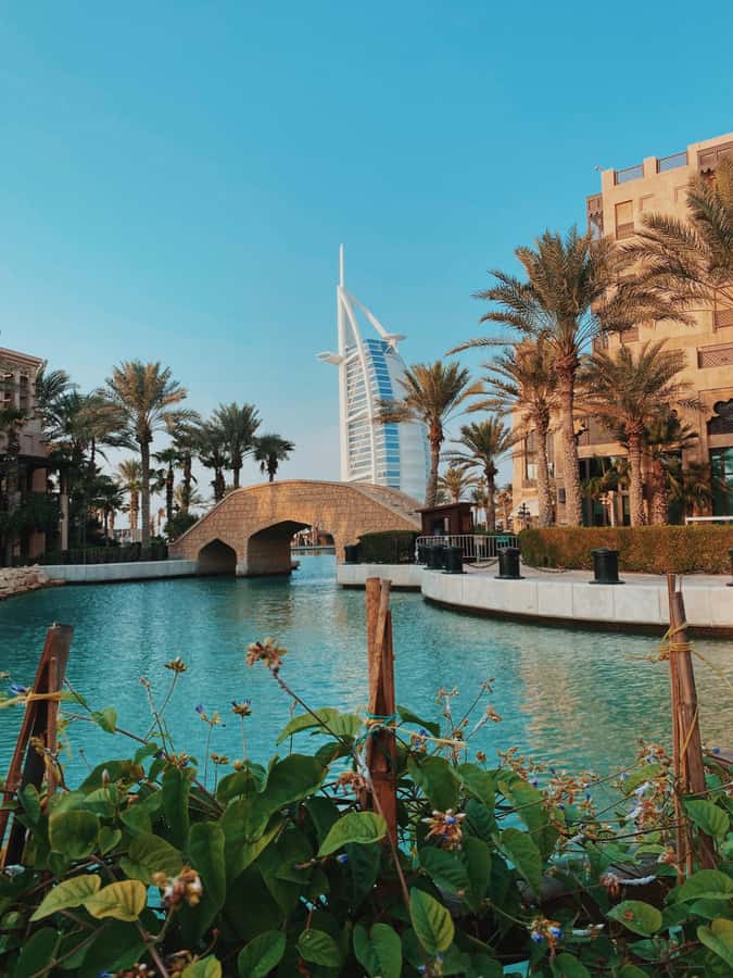 Dubai:Private Frame Entry, Mosque, Souks, Tastings& transfer - Price and value: is $190 per person fair for 5 hours?