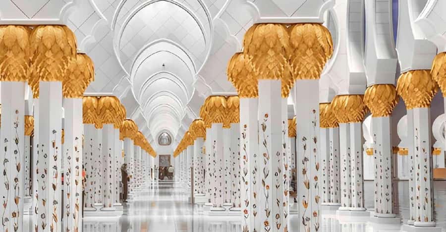 Dubai: Sheikh Zayed Mosque & SeaWorld Entry w/ Transfer - Key Highlights Worth Your Attention