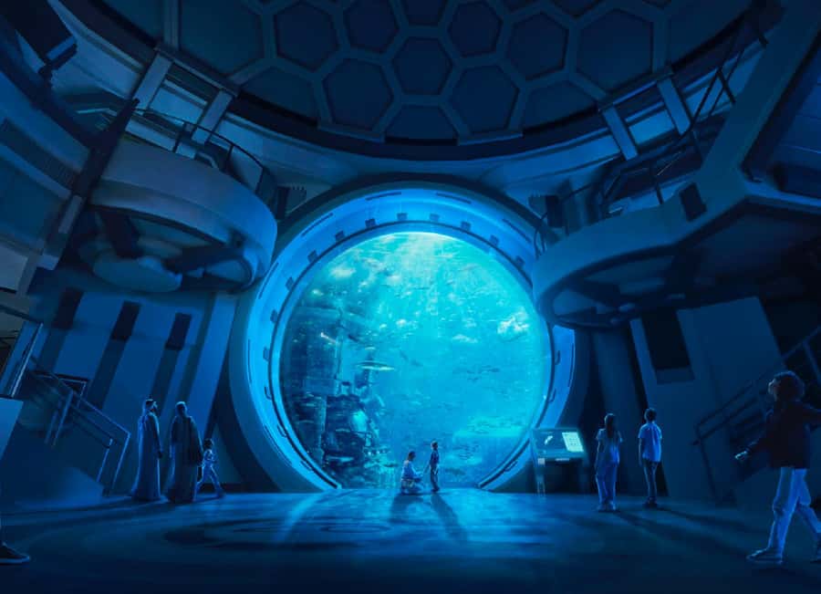 Dubai: Sheikh Zayed Mosque & SeaWorld Entry w/ Transfer - Dubai Hotel Transfers: The Hidden Value in This Tour