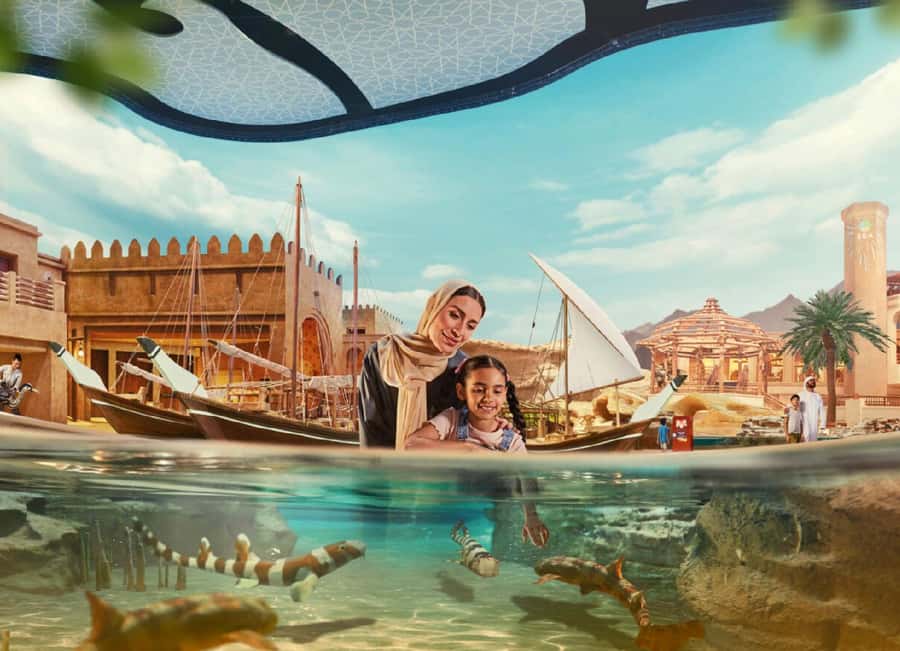 Dubai: Sheikh Zayed Mosque & SeaWorld Entry w/ Transfer - What You’ll Want to Plan For (Meals, Time, and Shoes)