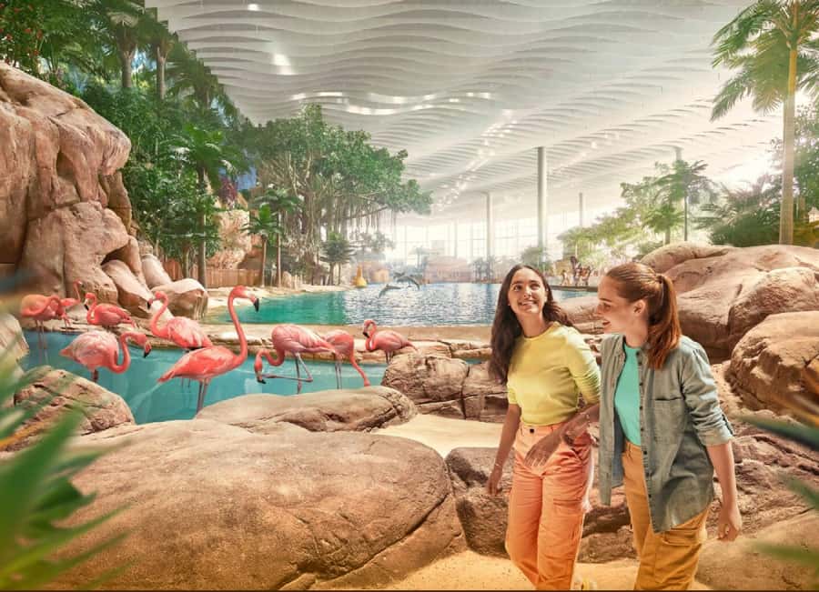 Dubai: Sheikh Zayed Mosque & SeaWorld Entry w/ Transfer - Should You Book This Mosque + SeaWorld Day?