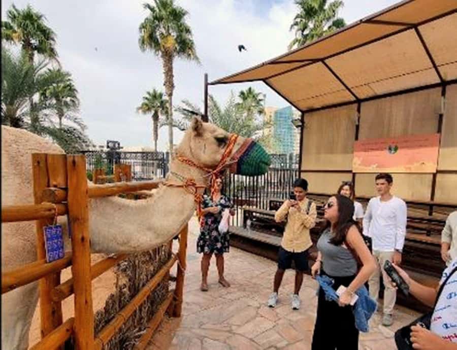 Dubai: Top Must-See Sights Tour with Burj Khalifa At The Top - Madinat Jumeirah Break Time, Jumeirah Beach Views, and the Palm Jumeirah Drive