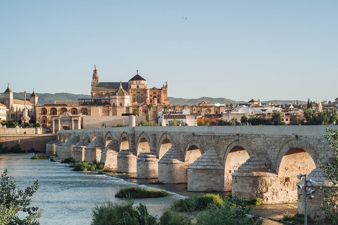 Excursion to Córdoba with tickets to the Mosque-Cathedral - Key things to know before you go
