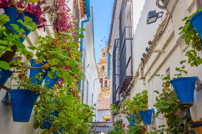 Excursion to Córdoba with tickets to the Mosque-Cathedral - First Stop: The Mosque-Cathedral tour (and how to enjoy it fast)