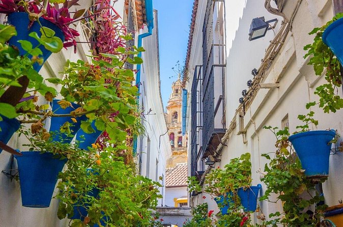 Excursion to Córdoba with tickets to the Mosque-Cathedral - La Judería in 60 minutes: a guided walk you can actually follow