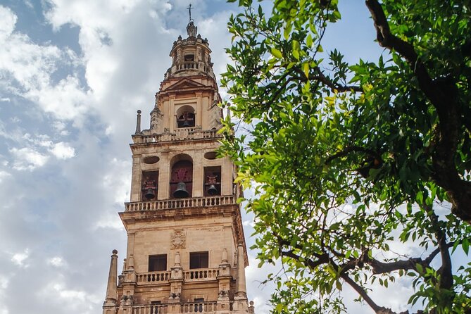 Excursion to Córdoba with tickets to the Mosque-Cathedral - The coach ride from Málaga to Córdoba: plan your day around the clock