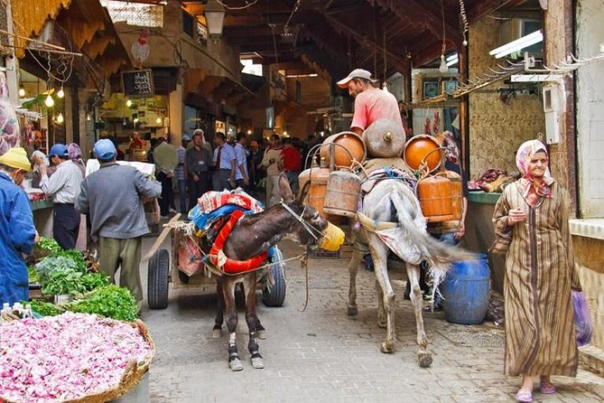 Fez in One Day: Qaraouiyine Mosque, Tanneries, Medersa & Mellah... - Royal Palace of Fez: see it from outside, focus on the gate