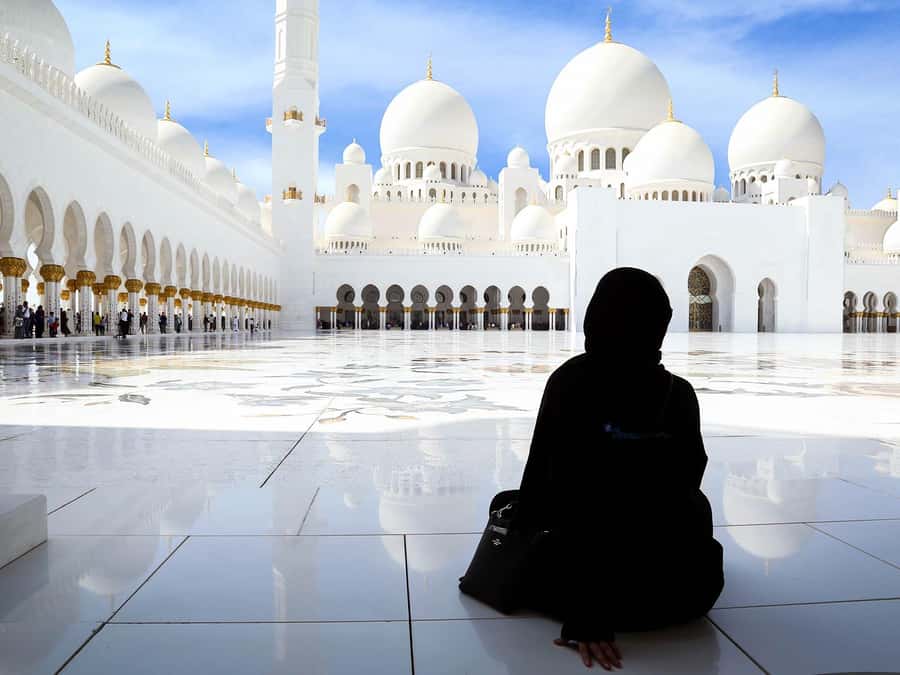 From Dubai: Abu Dhabi Grand Mosque Visit & Theme Park Option - Sheikh Zayed Grand Mosque: the main event, with strict dress code