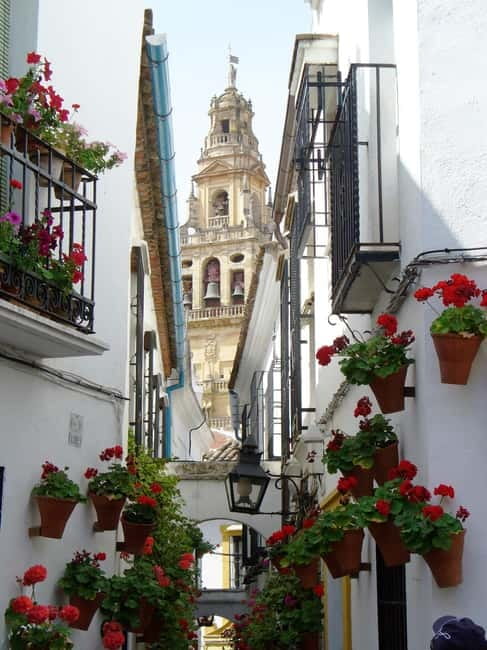 From Madrid: Cordoba and Mosque Day Trip by High-Speed Train - From the Roman Bridge to the Alcázar: a guided starter route