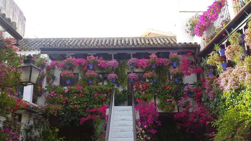 From Madrid: Cordoba and Mosque Day Trip by High-Speed Train - Price and value: what $199 buys (and what it doesn’t)