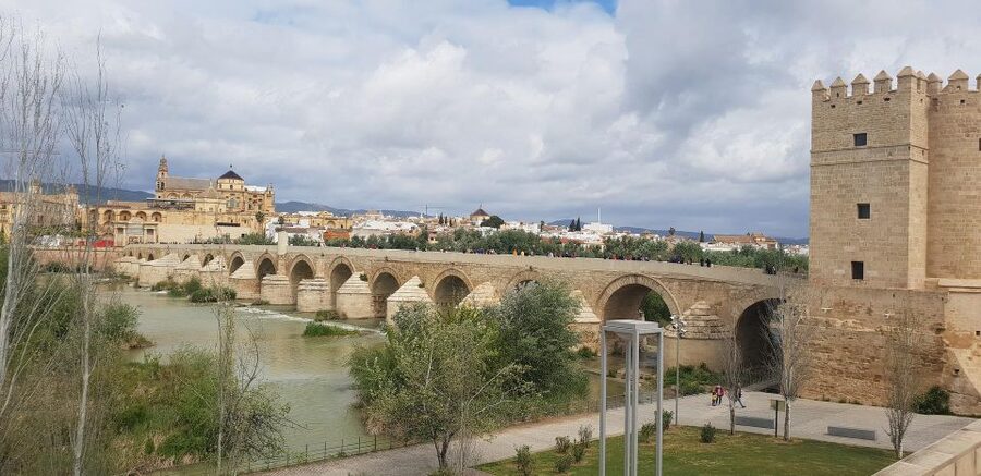 From Malaga and Costa Del Sol: Cordoba Day Trip - The bus ride from Malaga to Córdoba: long, but set up well