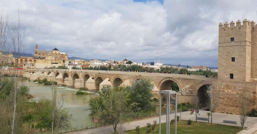 From Malaga and Costa Del Sol: Cordoba Day Trip - Mosque-Cathedral hour: orange blossom vibes and a real guided focus